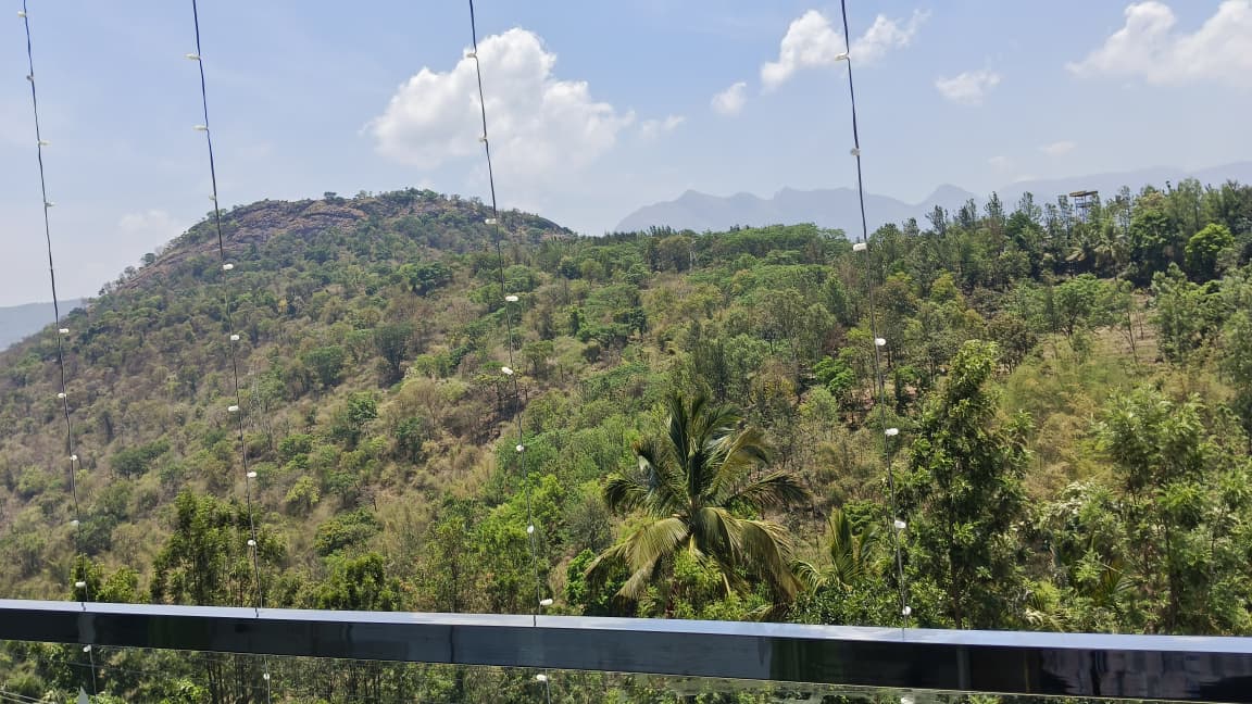 Premium Suite Room at Majestic Marvel Resort Marayoor